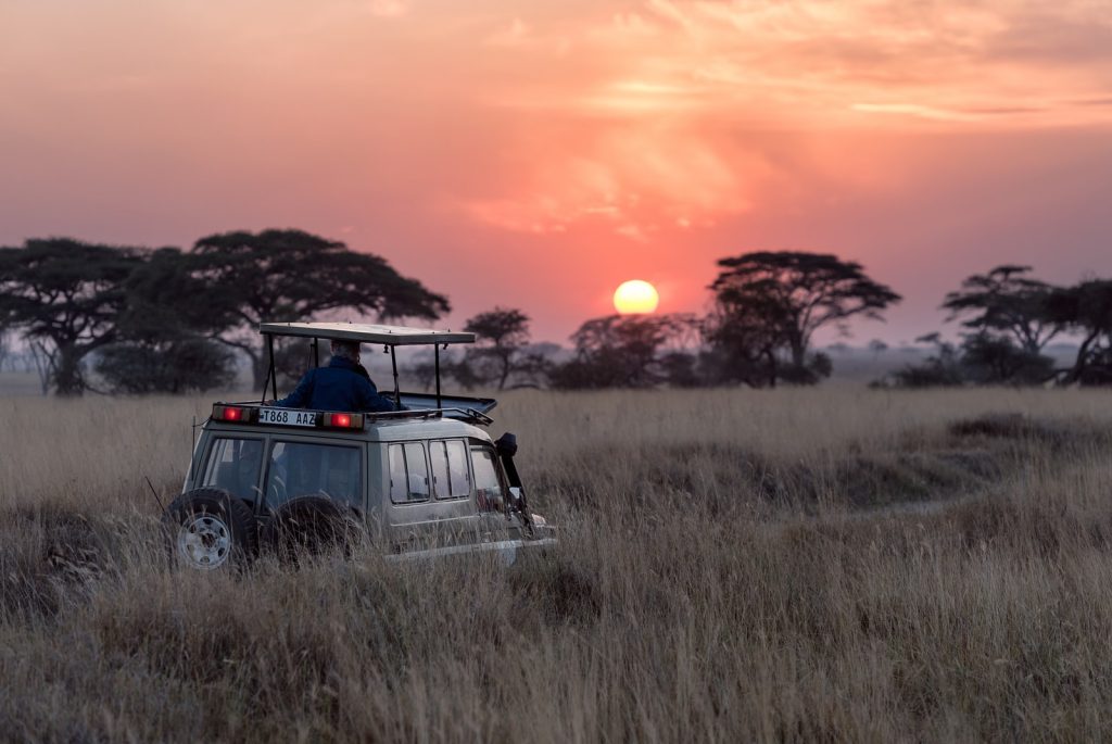 Comment choisir un safari en Afrique